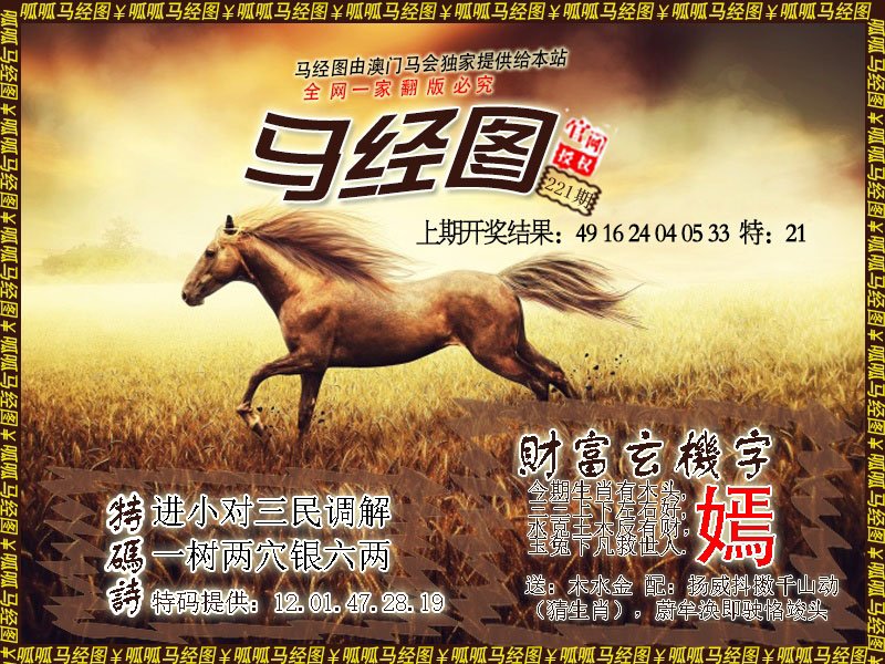 2024221期马经10