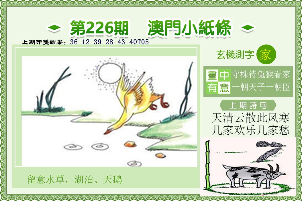 2024226期澳门小纸条