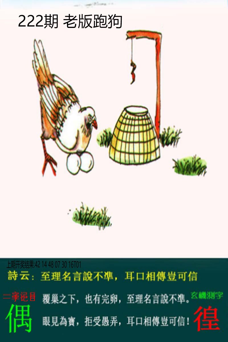 2024222期老板跑狗