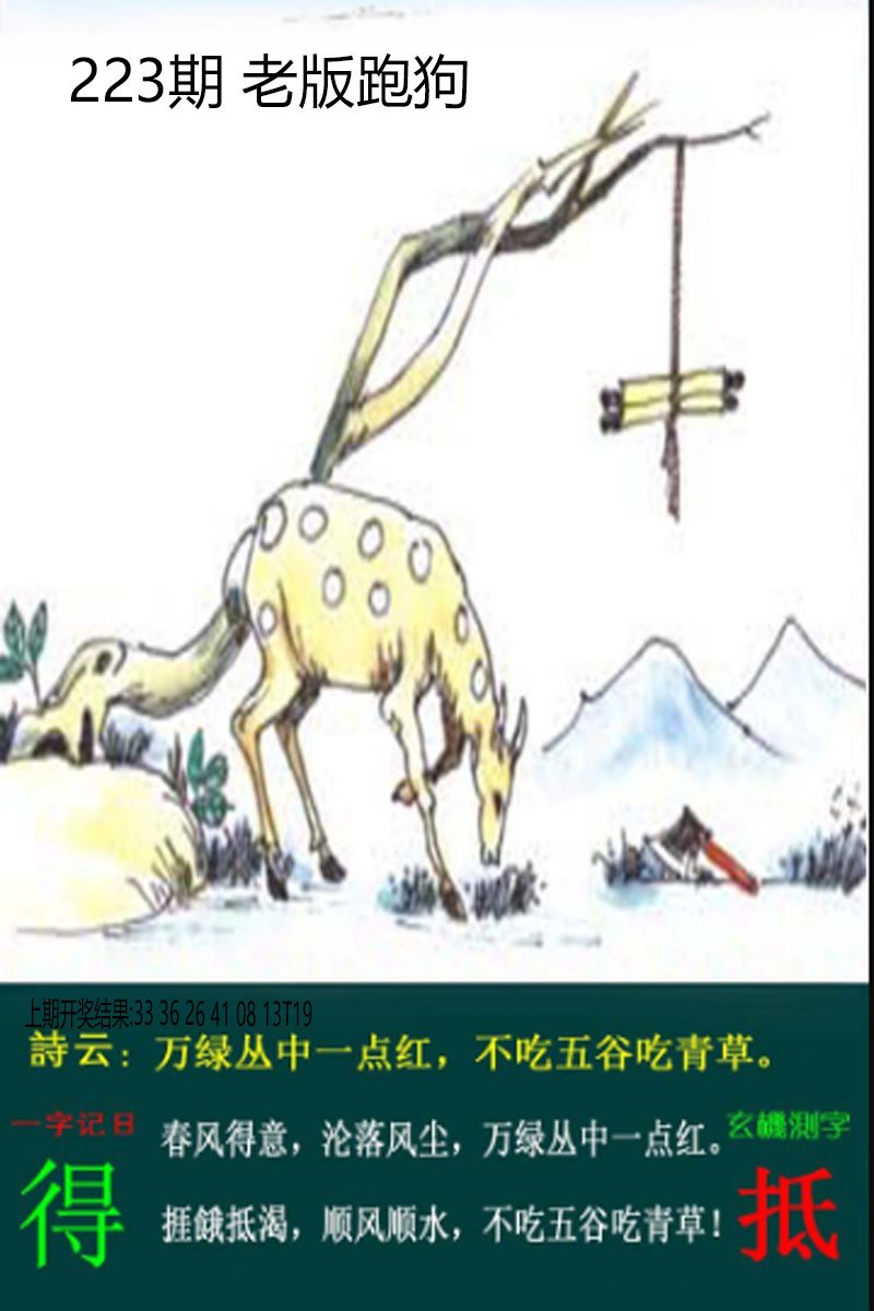 2024223期老板跑狗