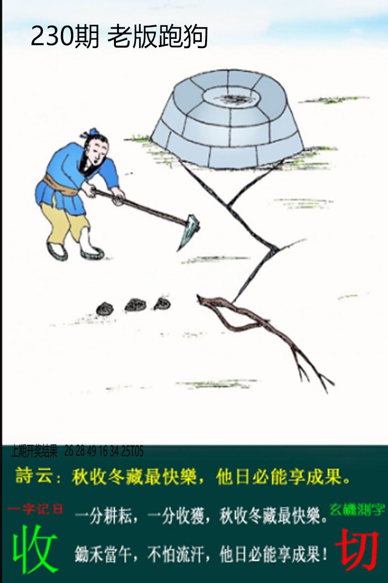 2024230期老板跑狗