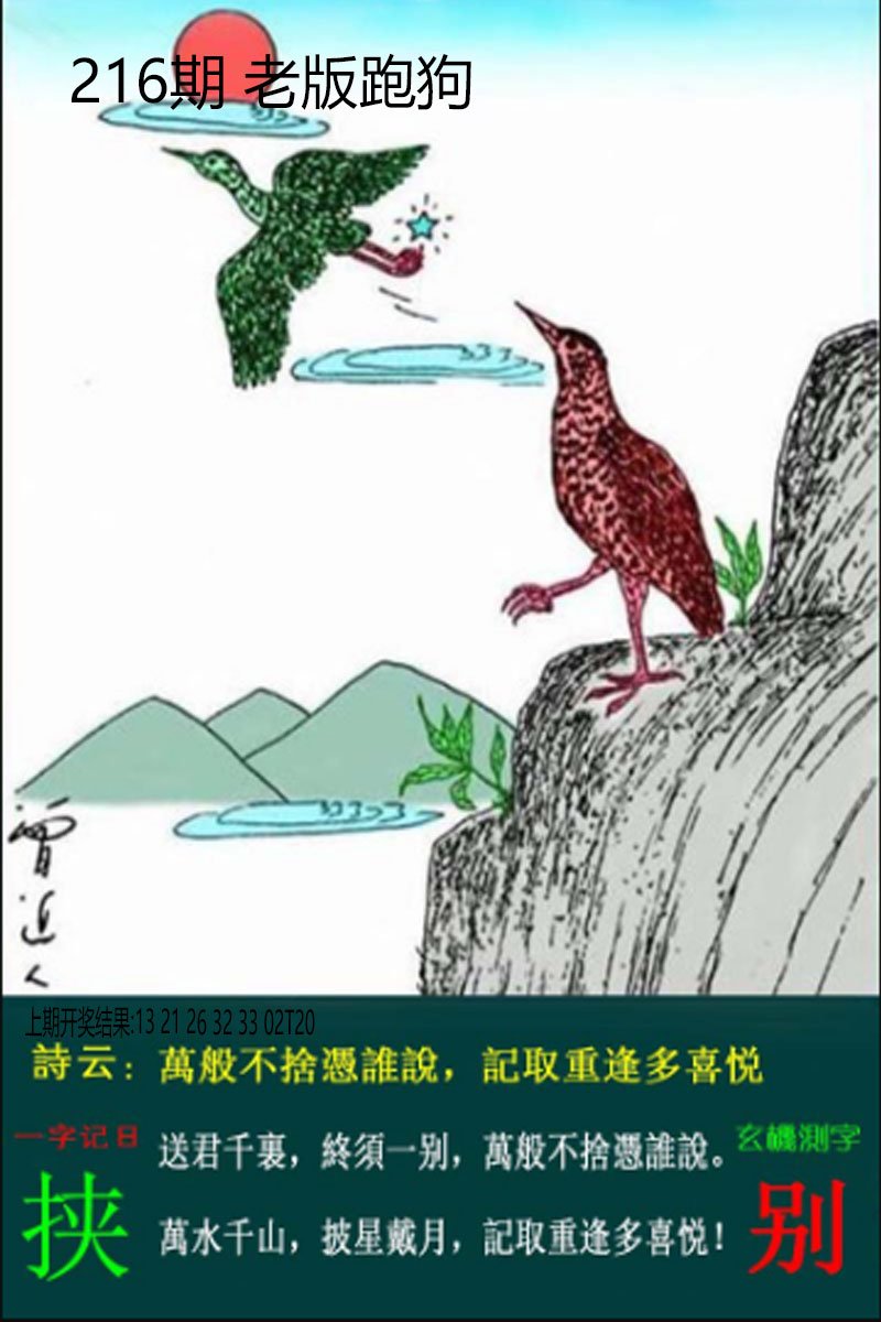 2024216期老板跑狗