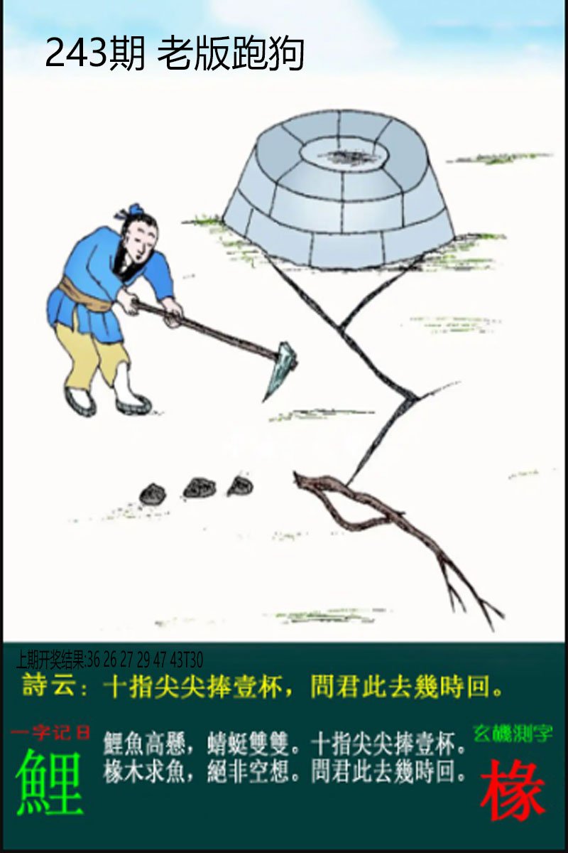 2024243期老板跑狗
