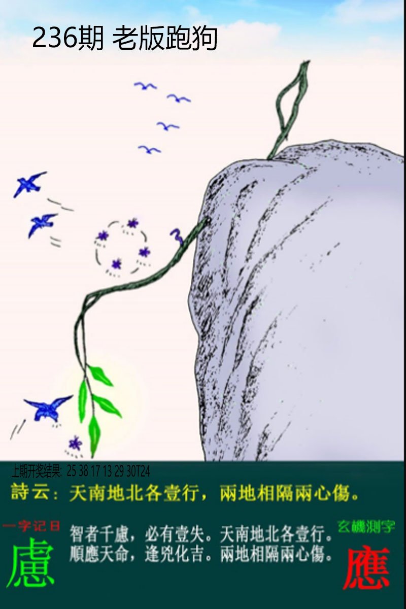 2024236期老板跑狗