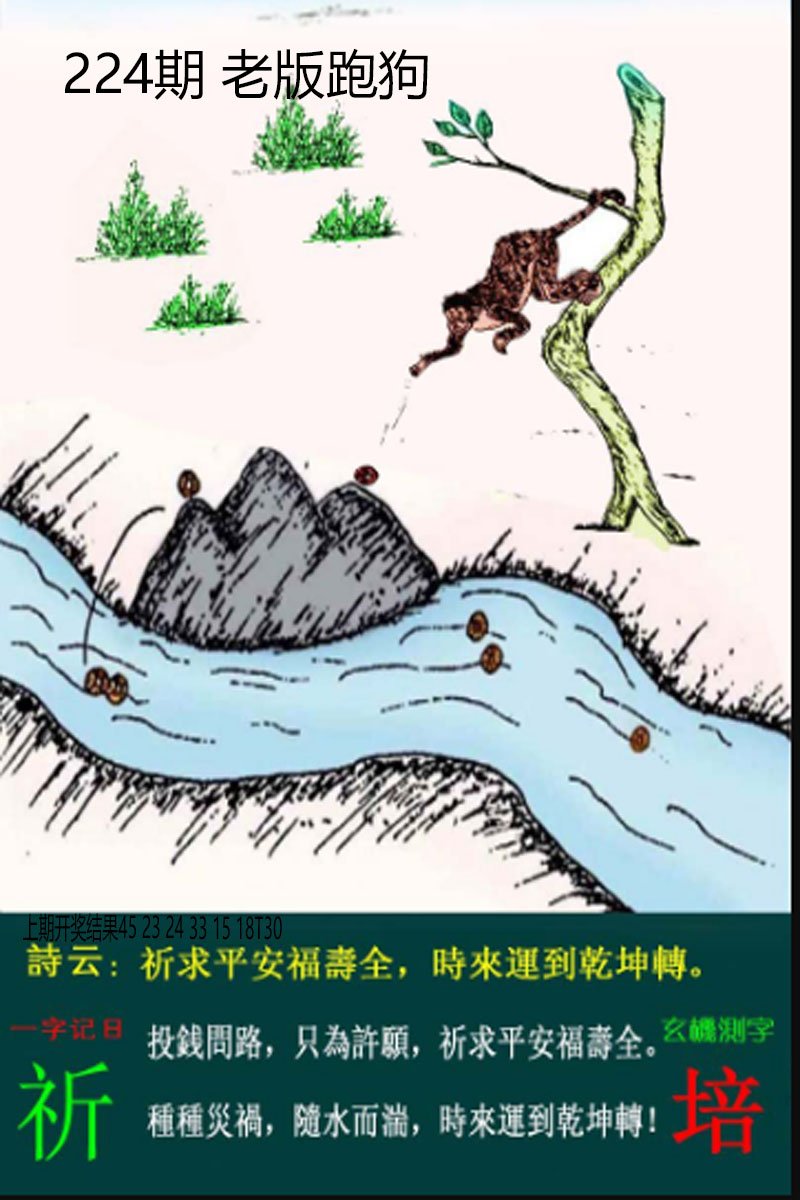 2024224期老板跑狗