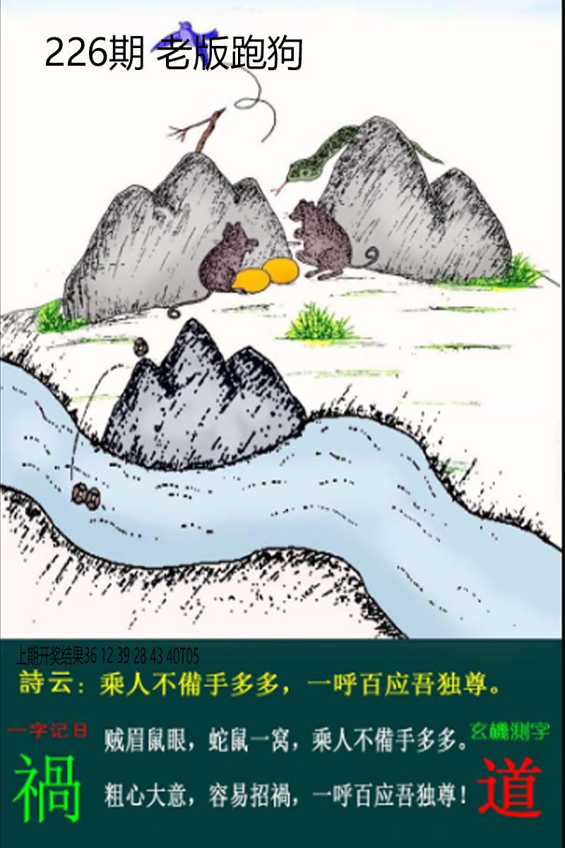 2024226期老板跑狗