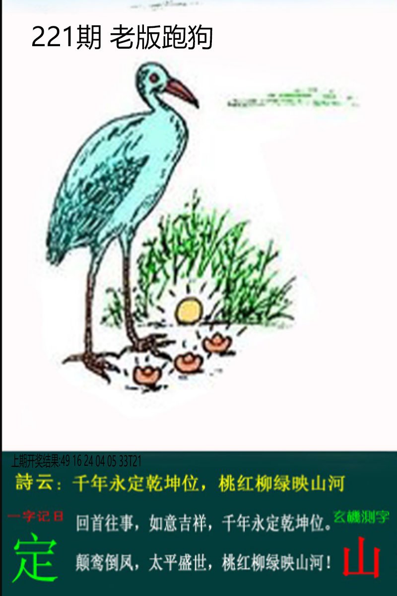 2024221期老板跑狗