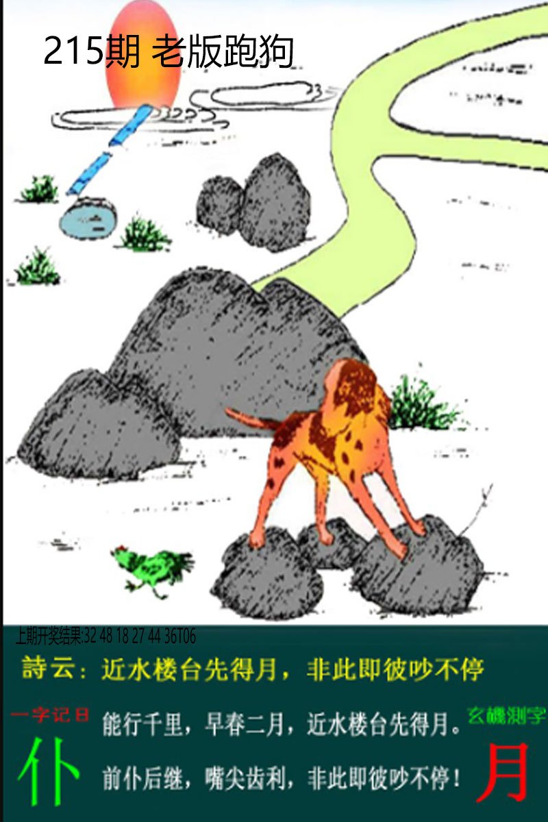 2024215期老板跑狗