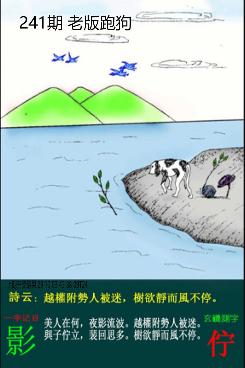 2024241期老板跑狗