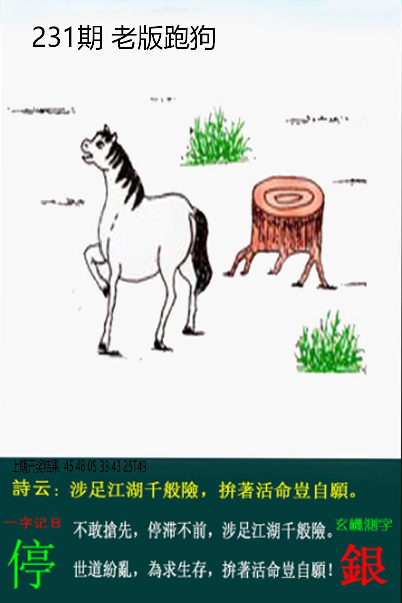 2024231期老板跑狗
