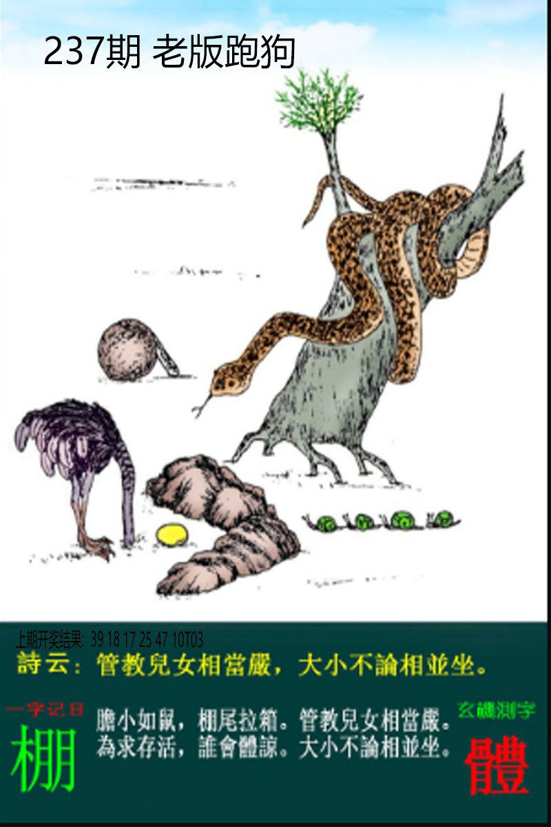 2024237期老板跑狗