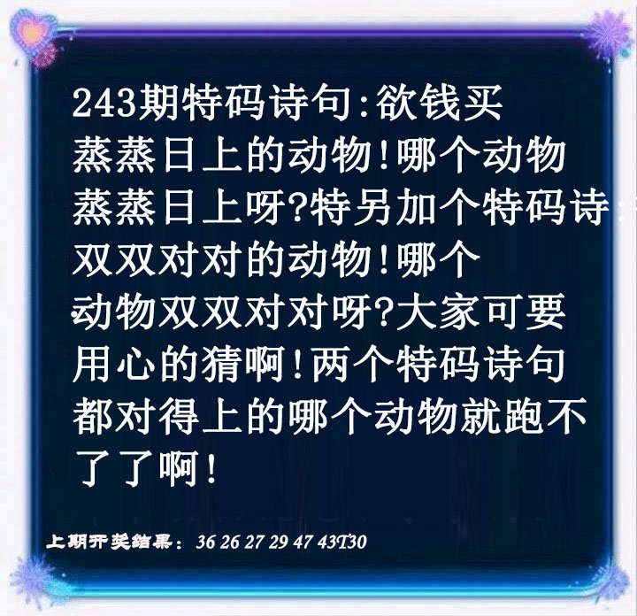 2024243期蓝色欲钱料