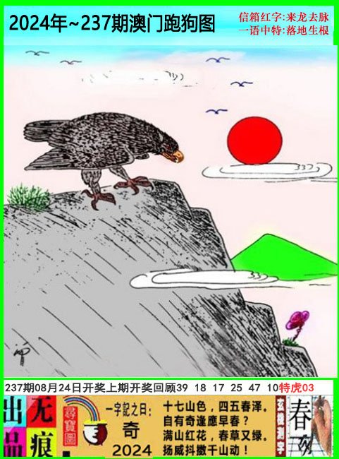 2024237期澳门跑狗无痕版