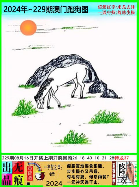 2024229期澳门跑狗无痕版