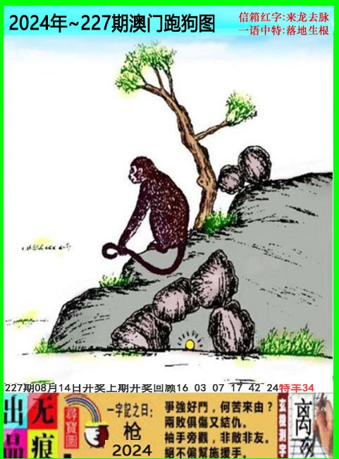 2024227期澳门跑狗无痕版