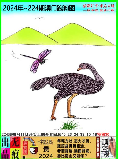 2024224期澳门跑狗无痕版