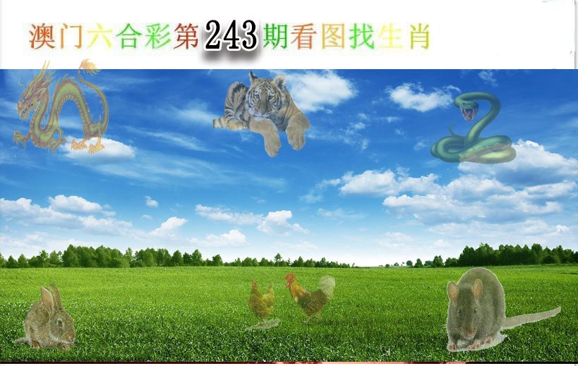 2024243期看图找生肖