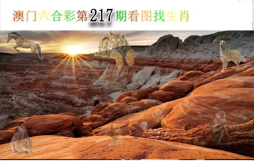 2024217期看图找生肖