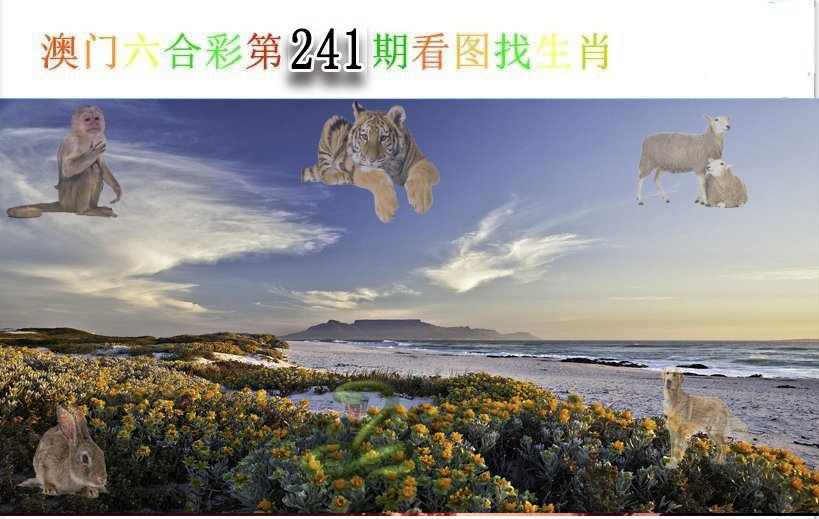 2024241期看图找生肖