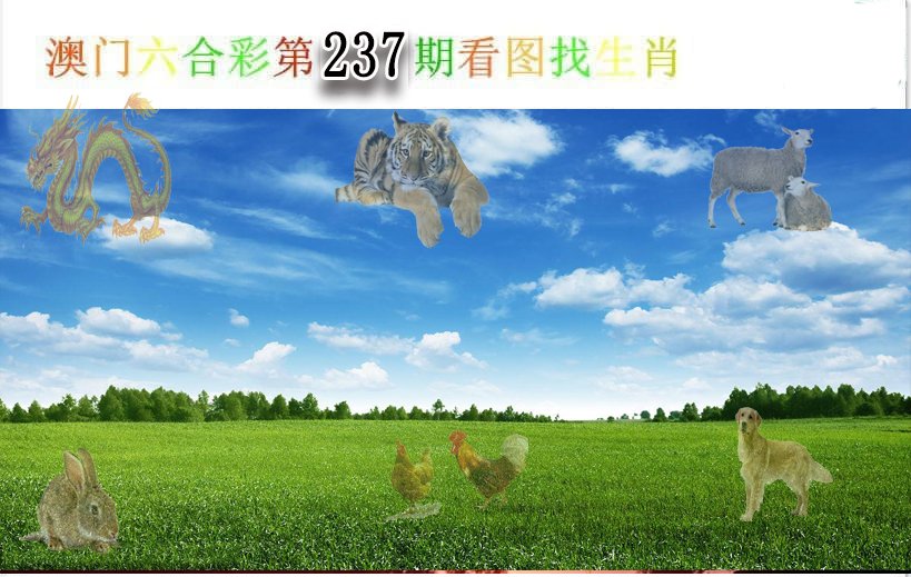 2024237期看图找生肖