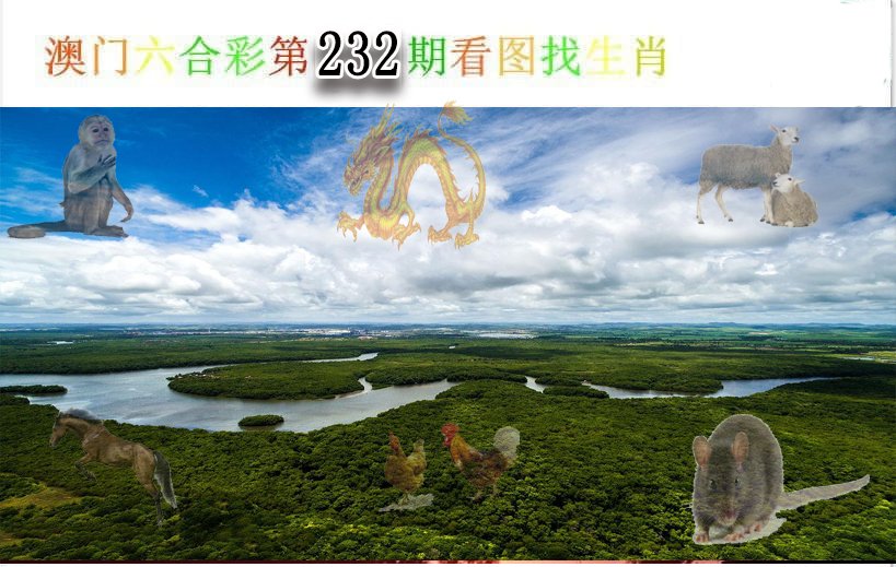 2024232期看图找生肖