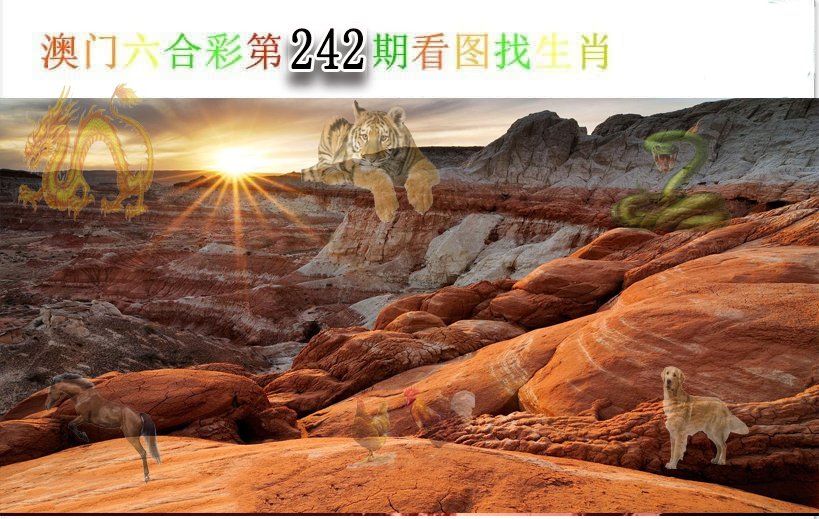 2024242期看图找生肖