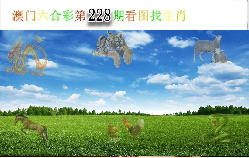 2024228期看图找生肖