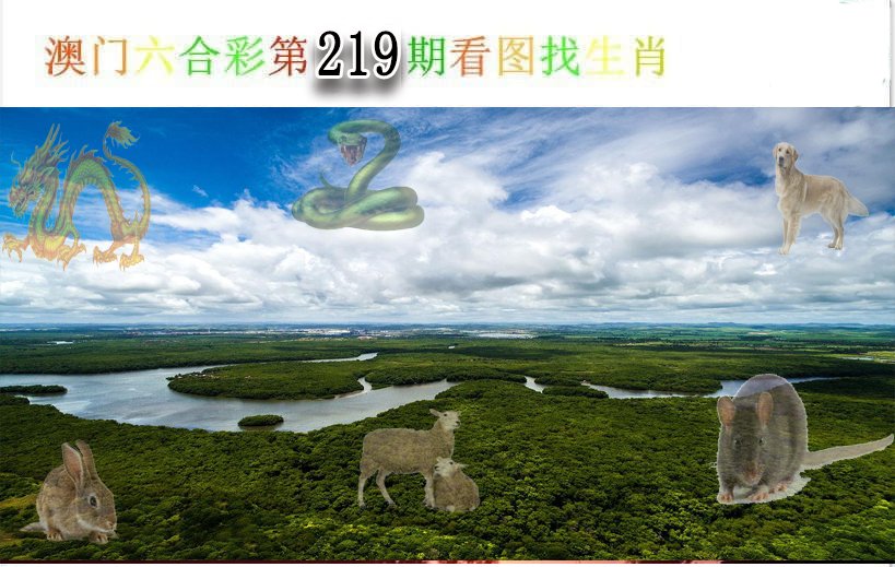 2024219期看图找生肖