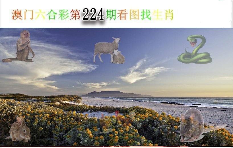 2024224期看图找生肖