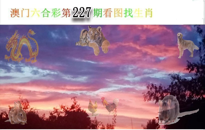 2024227期看图找生肖