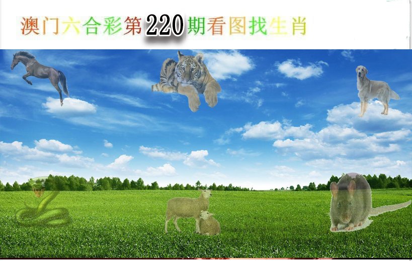 2024220期看图找生肖
