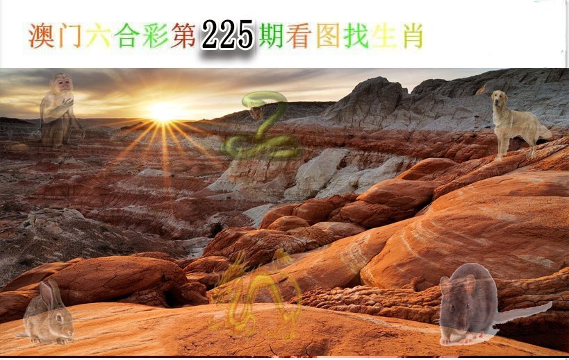 2024225期看图找生肖