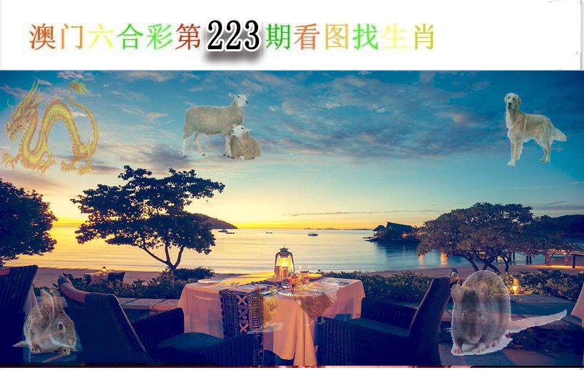 2024223期看图找生肖