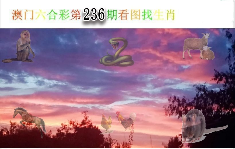 2024236期看图找生肖