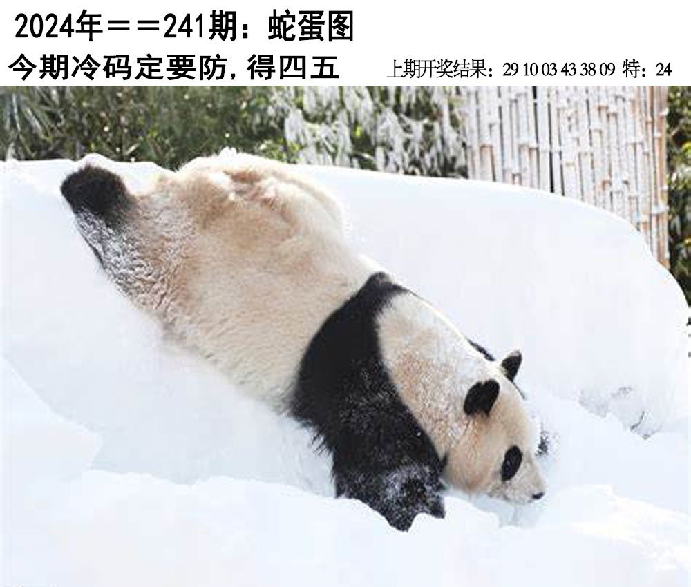 2024241期另版蛇蛋图