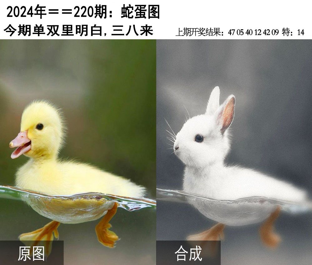 2024220期另版蛇蛋图