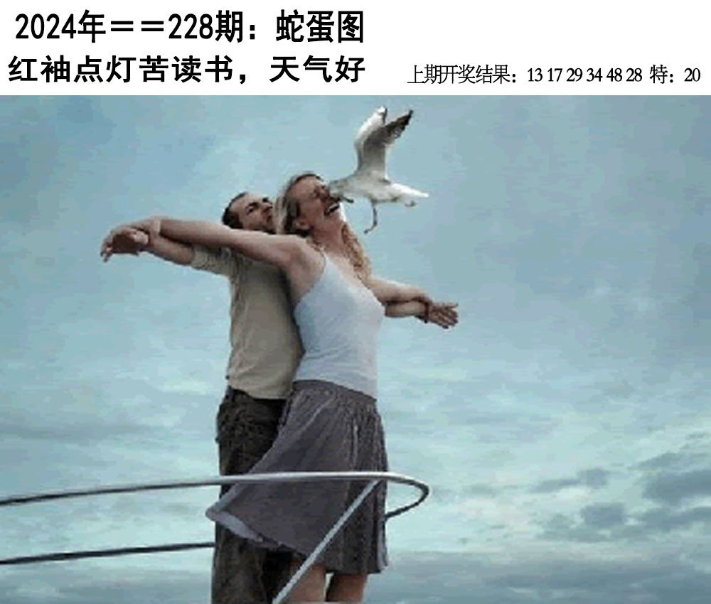 2024228期另版蛇蛋图