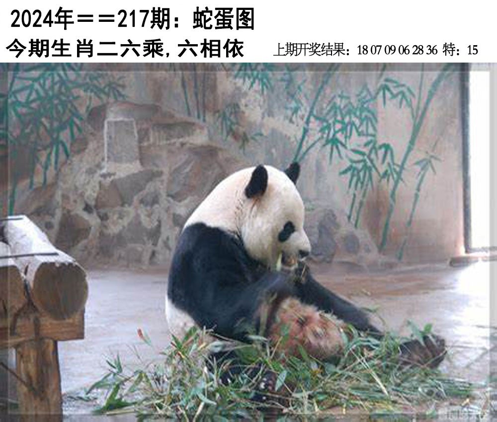 2024217期另版蛇蛋图