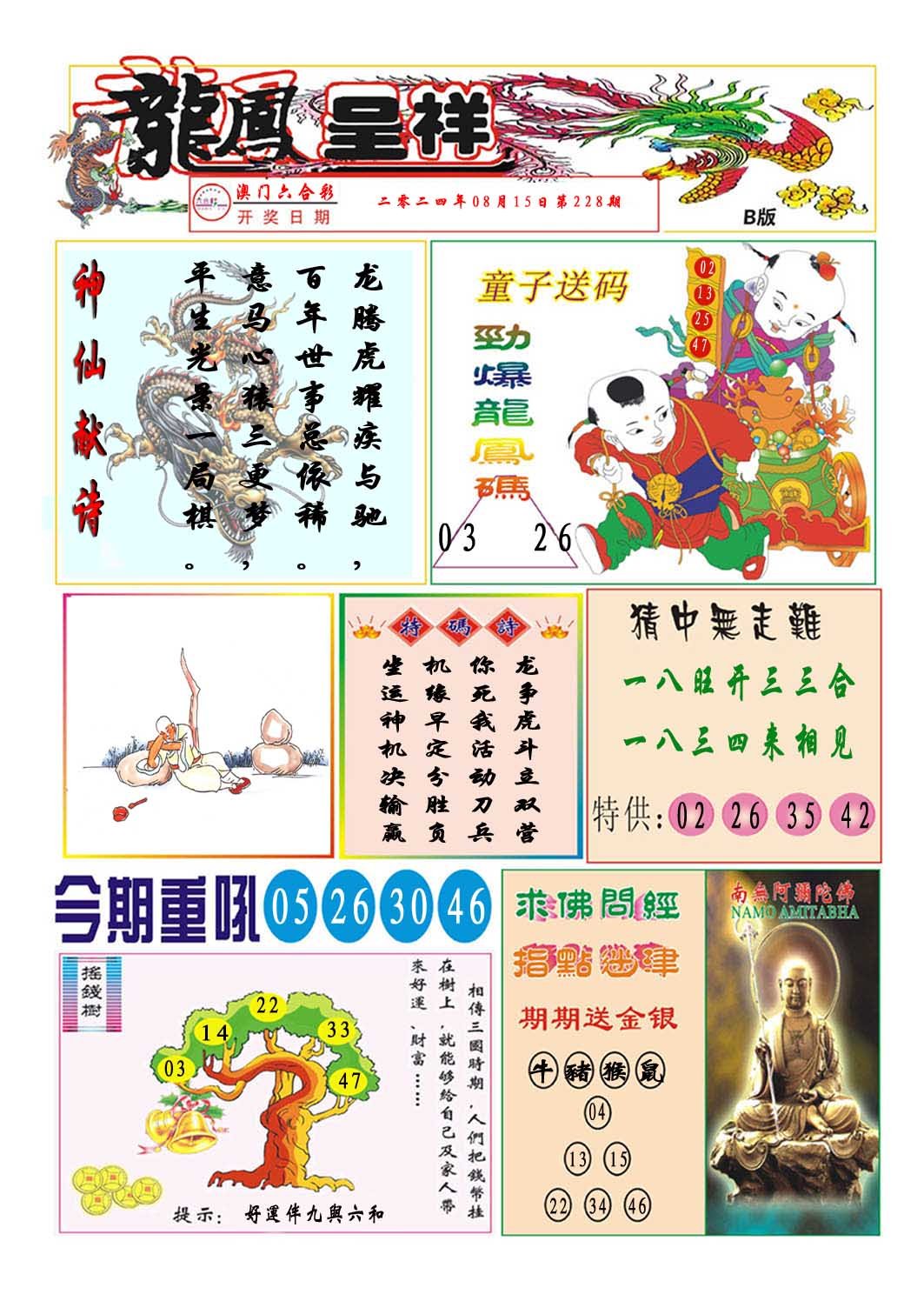 2024228期龙凤呈祥B
