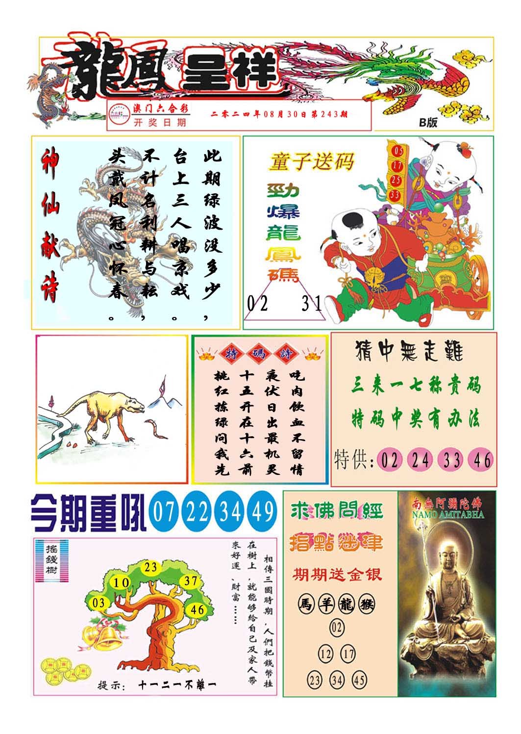 2024243期龙凤呈祥B