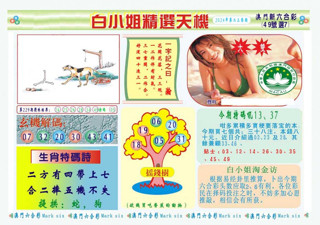 2024230期白小姐精选玄机A