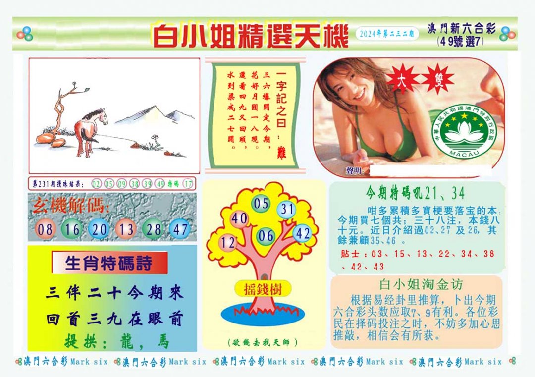 2024232期白小姐精选玄机A