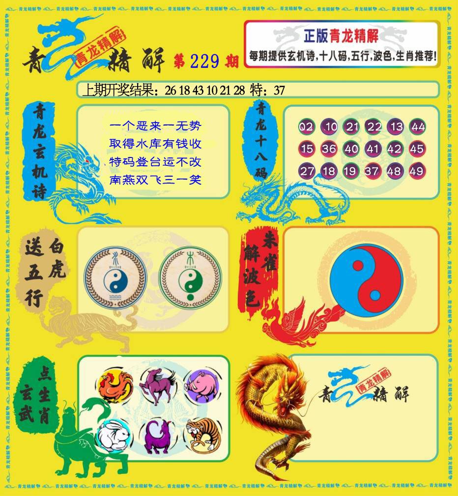 2024229期青龙精解