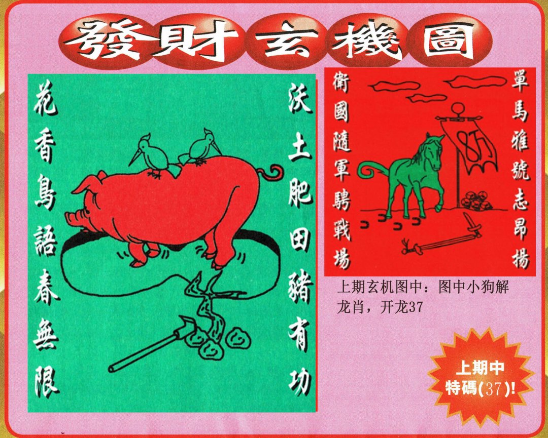 2024219期发财图