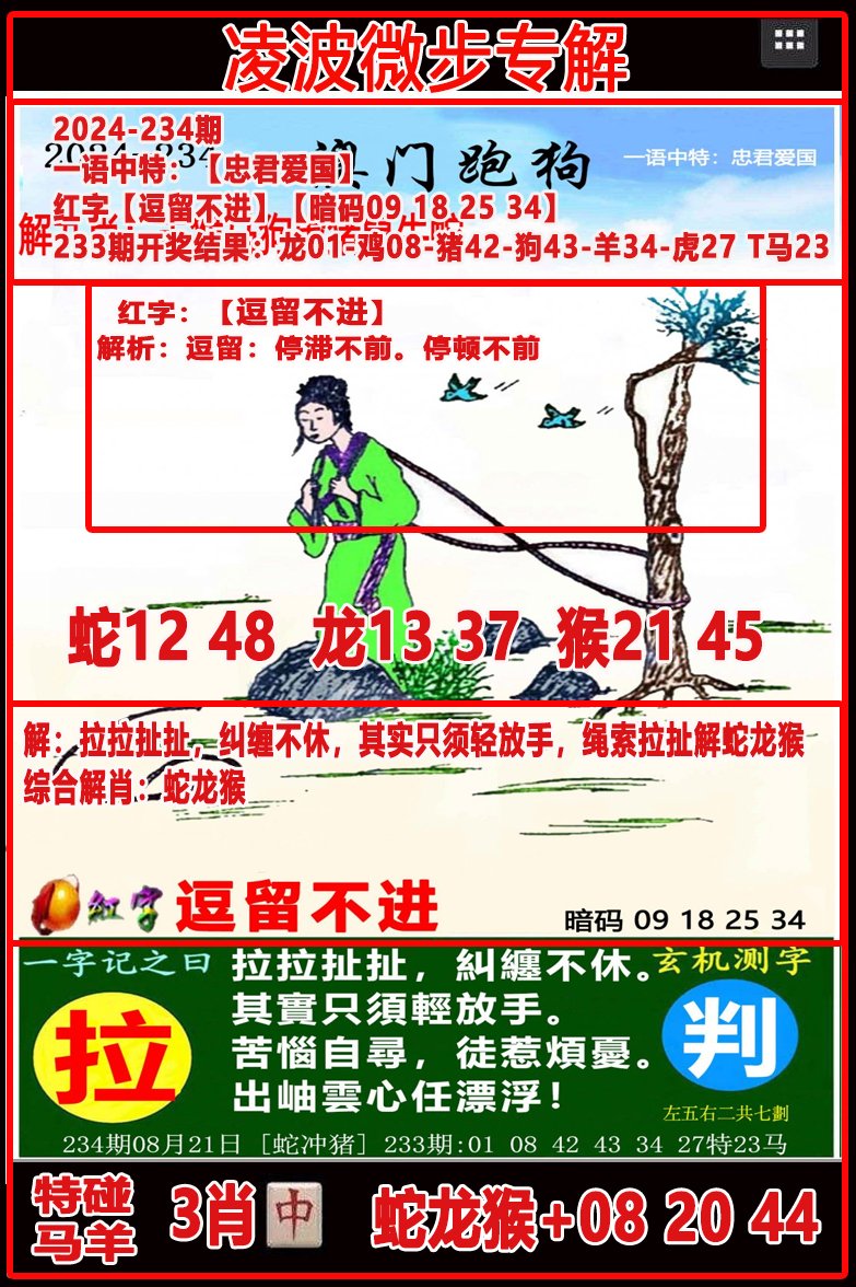 2024234期凌波微步