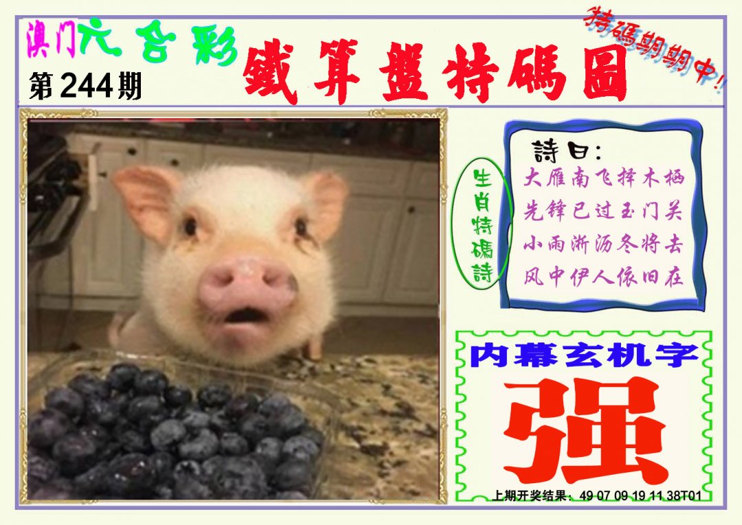 2024244期铁算盘特码图