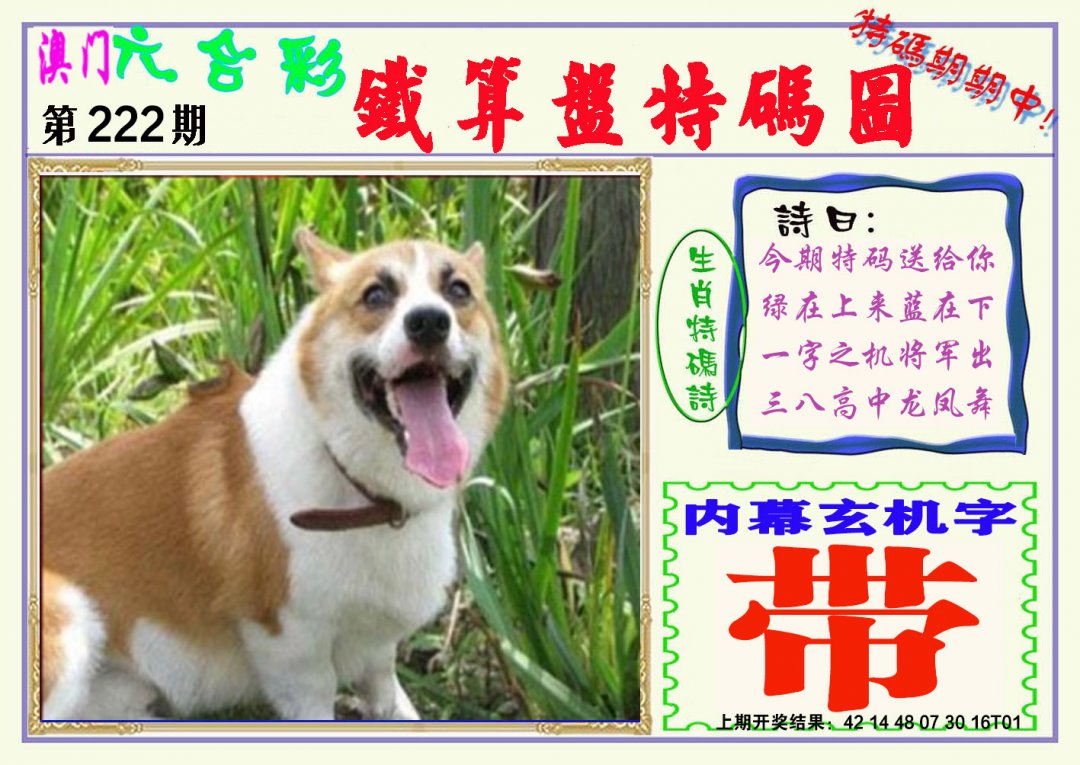 2024222期铁算盘特码图