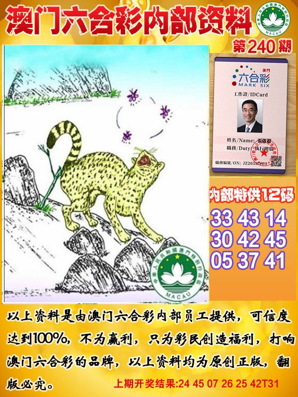 2024240期六合内部资料