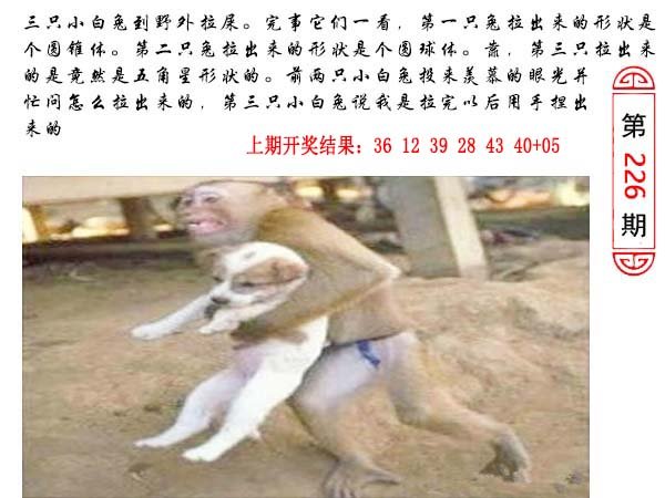 2024226期澳门生活幽默