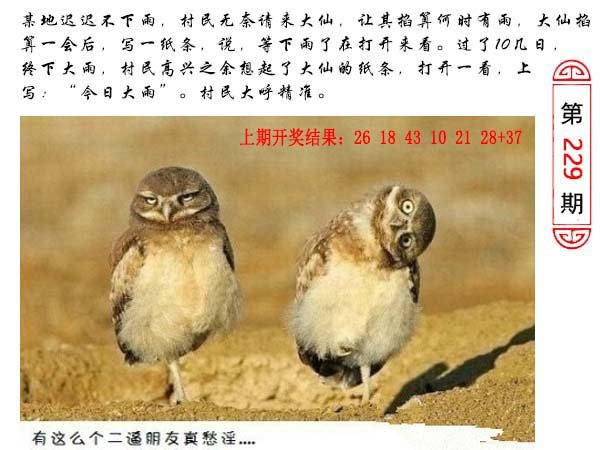 2024229期澳门生活幽默